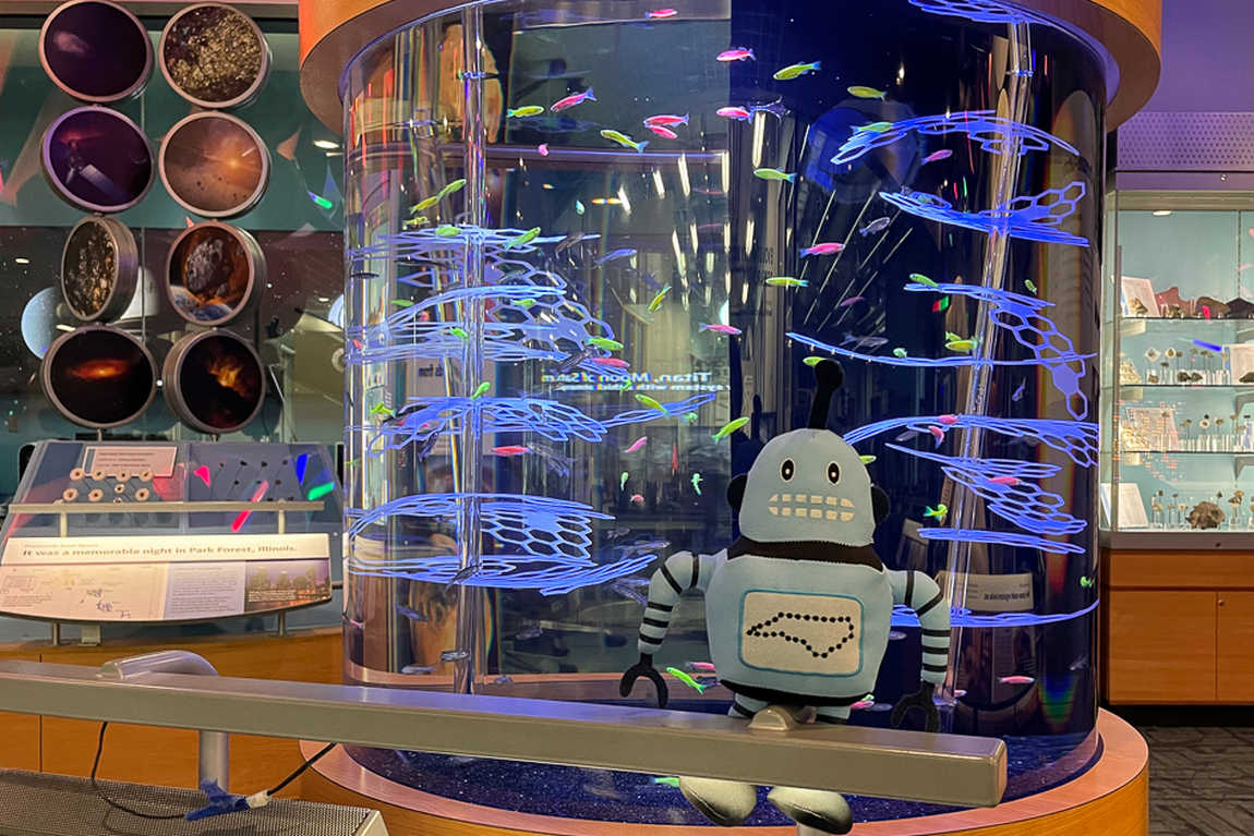 north carolina museum of natural sciences photo 7