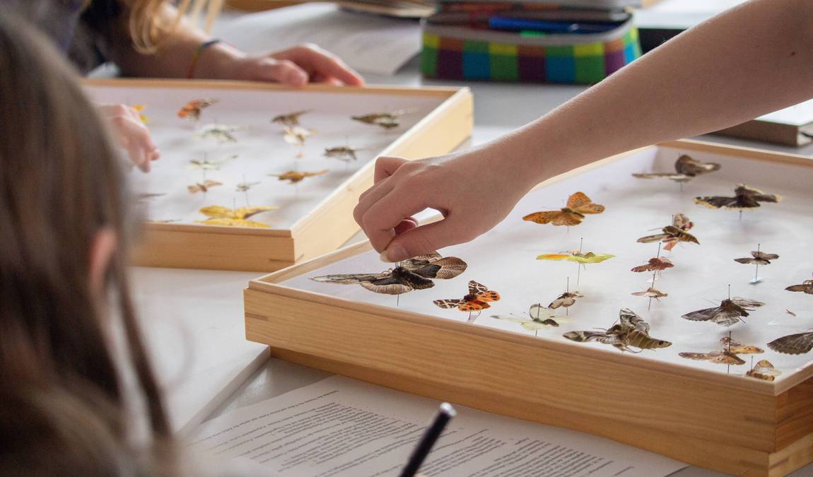 museum koenig photo 2