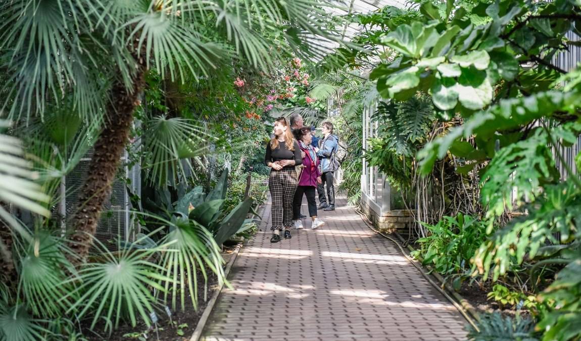 botanical garden - rosarium photo 5