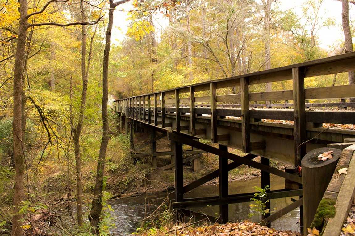 william b. umstead state park photo 2