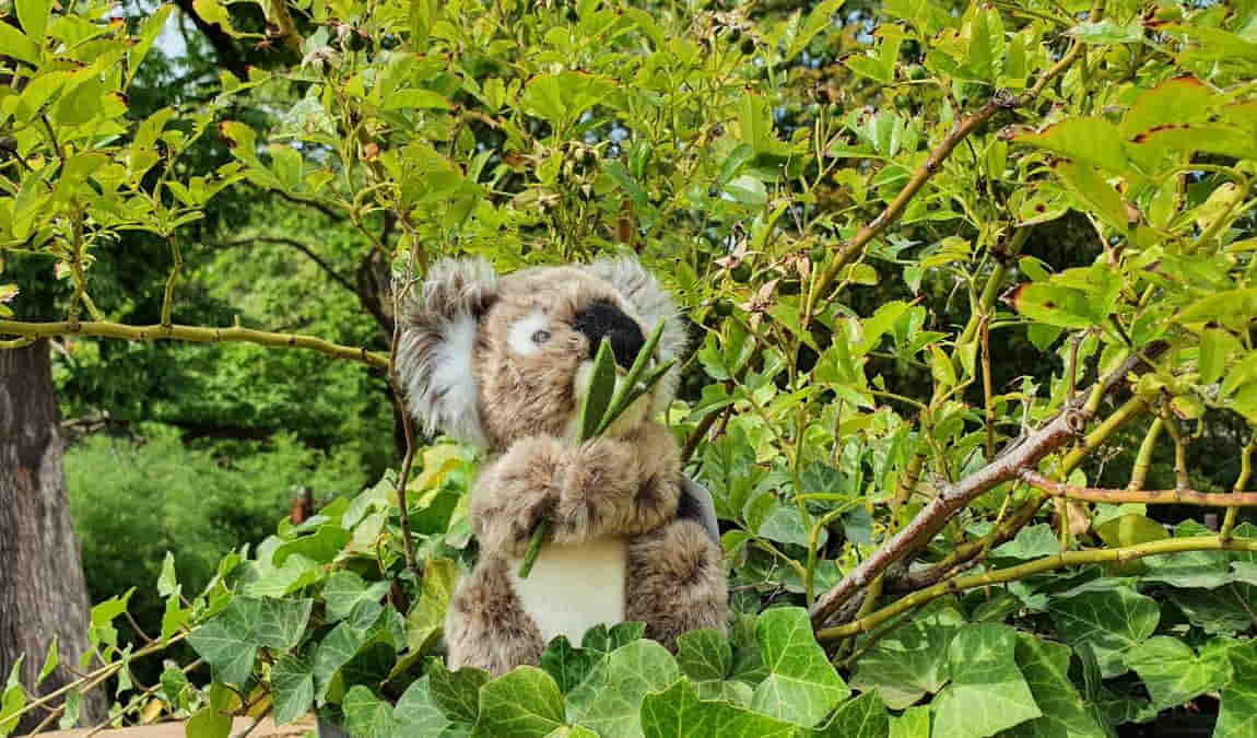 leipzig zoo photo 11