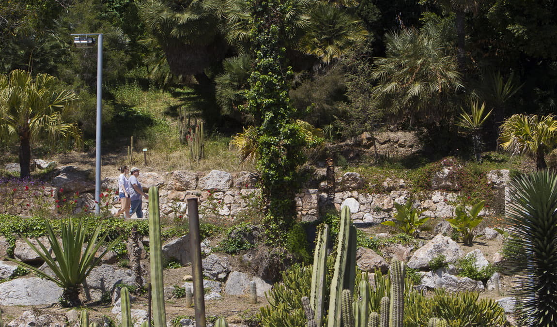 mossen costa i llobera gardens photo 3