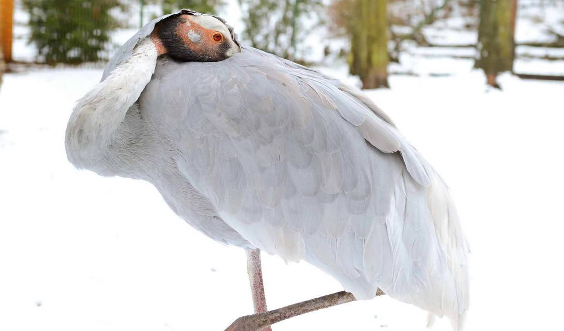 vivarium darmstadt photo 2