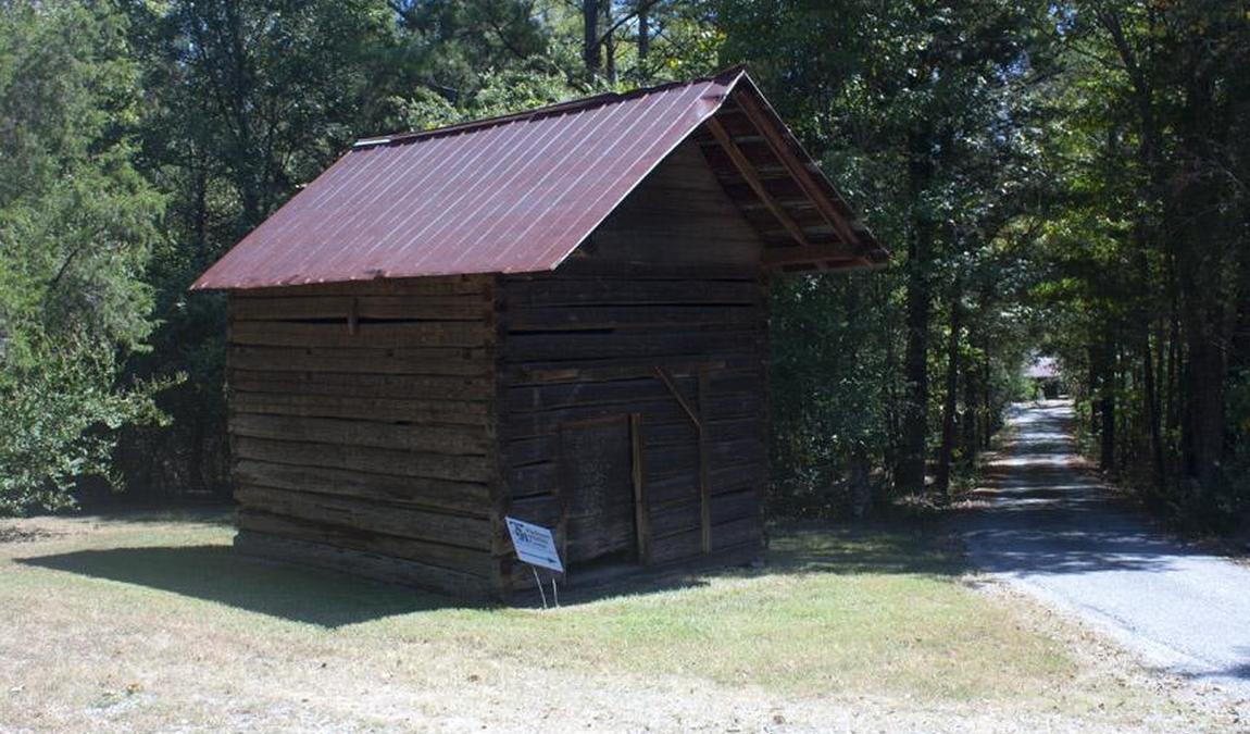 leigh farm park photo 4