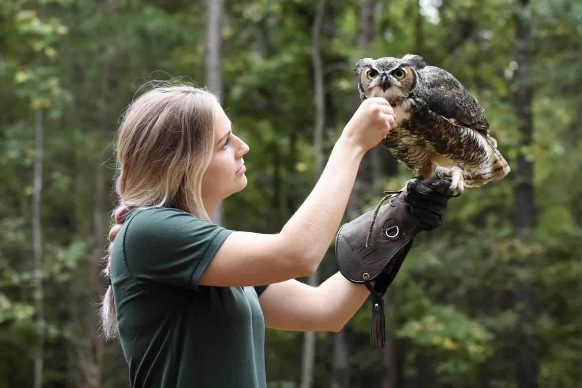 carolina raptor center photo 5