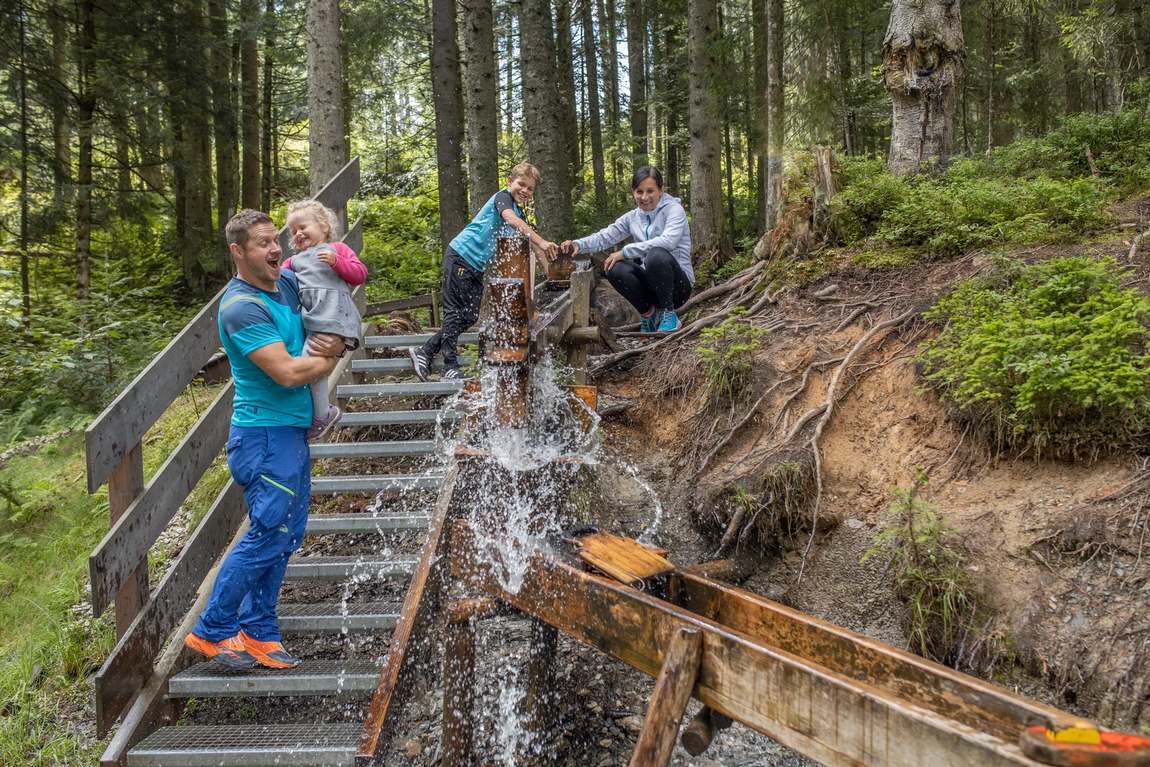 juppi zauberwald photo 2