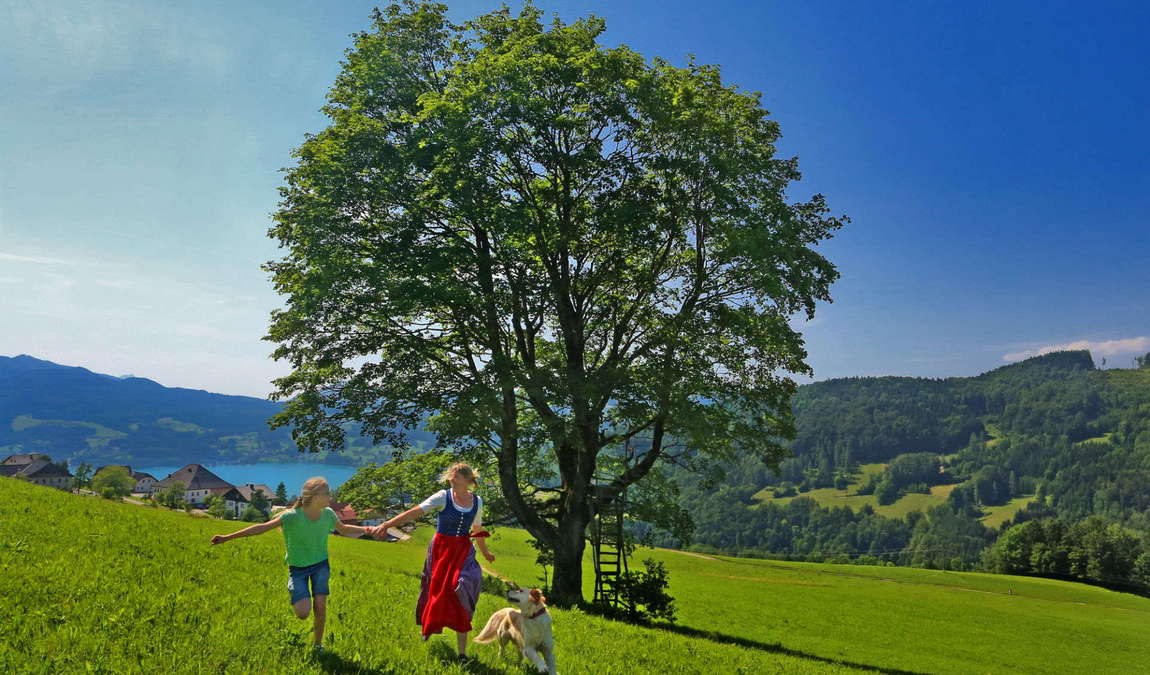 attersee-traunsee nature park photo 6