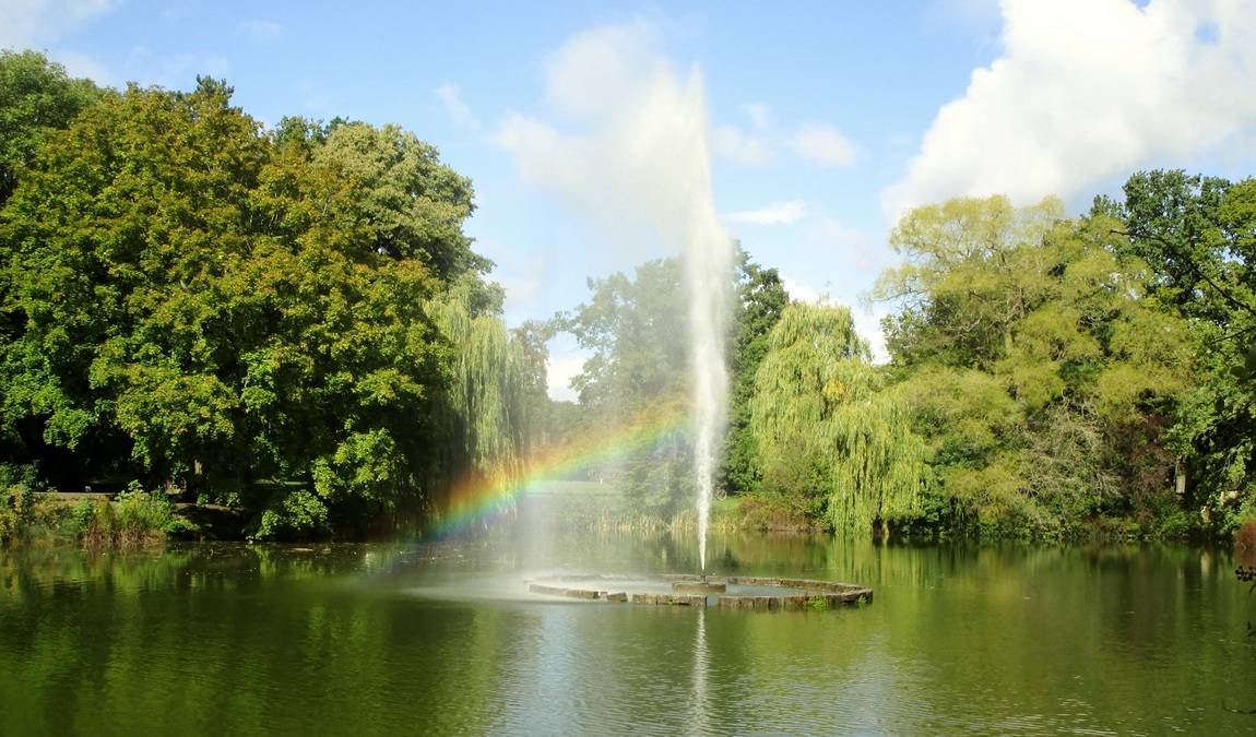 clara-zetkin park photo 3