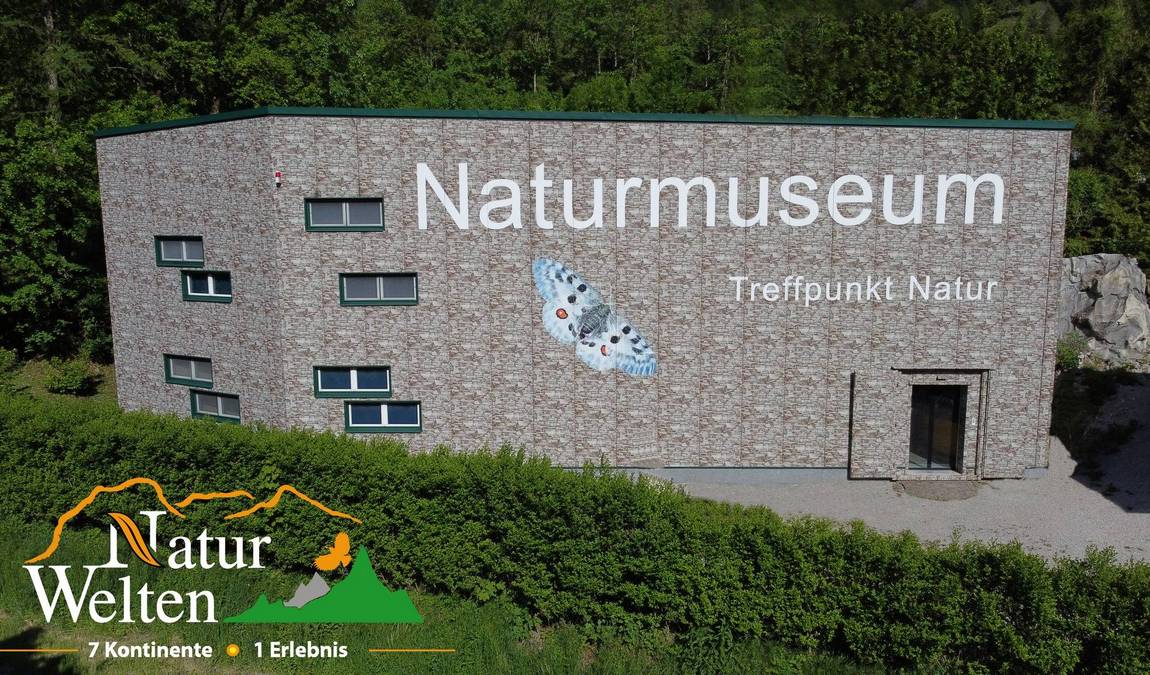 naturmuseum salzkammergut photo 4