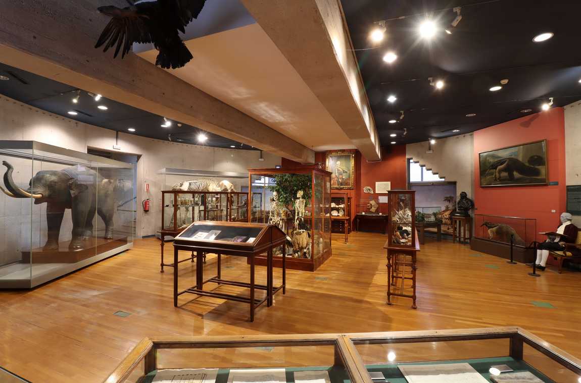 national museum of natural sciences photo 1