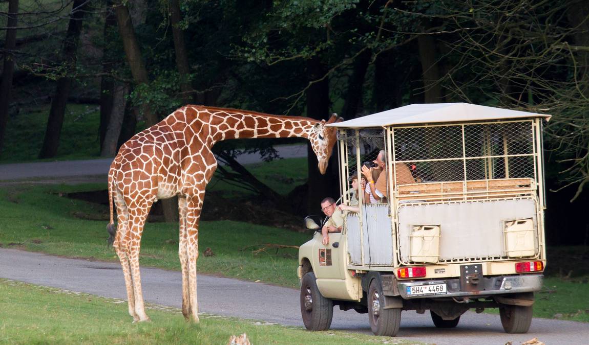 zoo dvur kralove photo 3