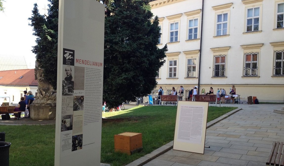 mendel museum photo 1