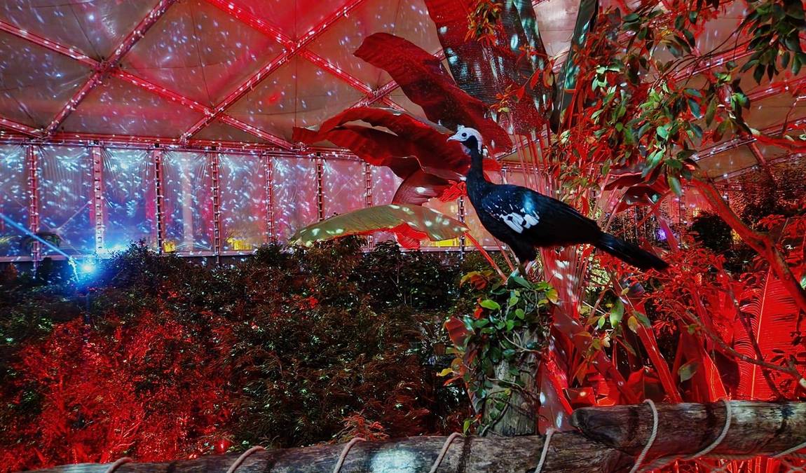 leipzig zoo photo 12