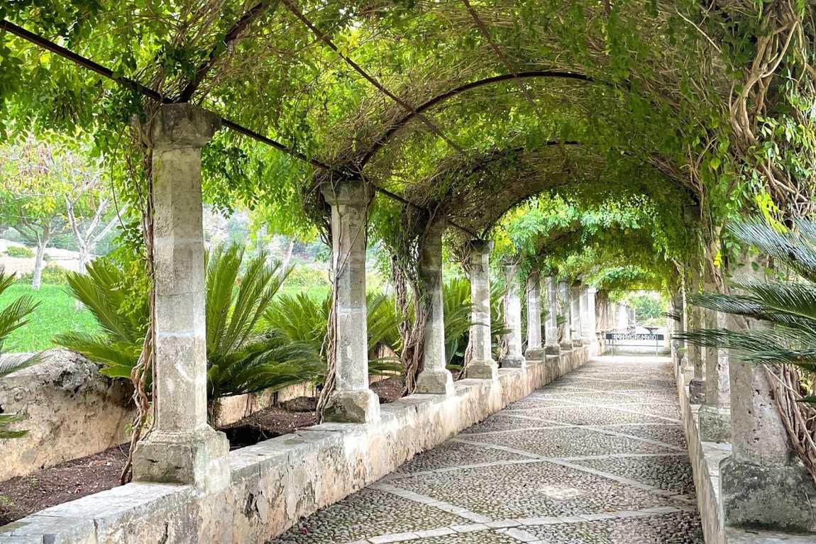 jardines de alfabia photo 3