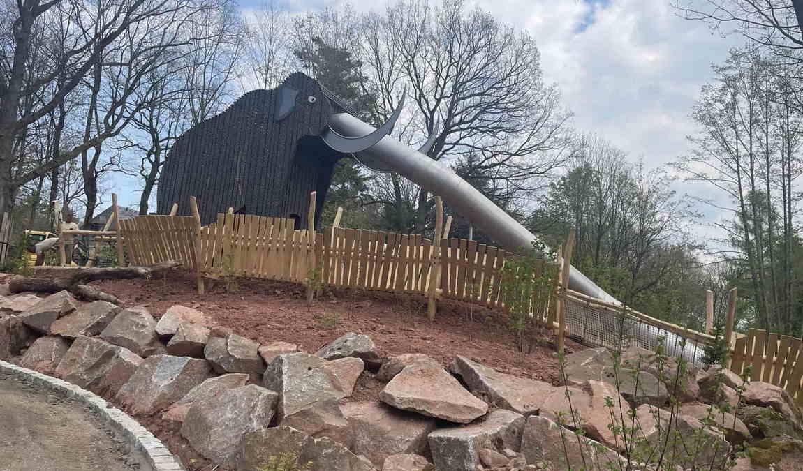 museum of natural history photo 1