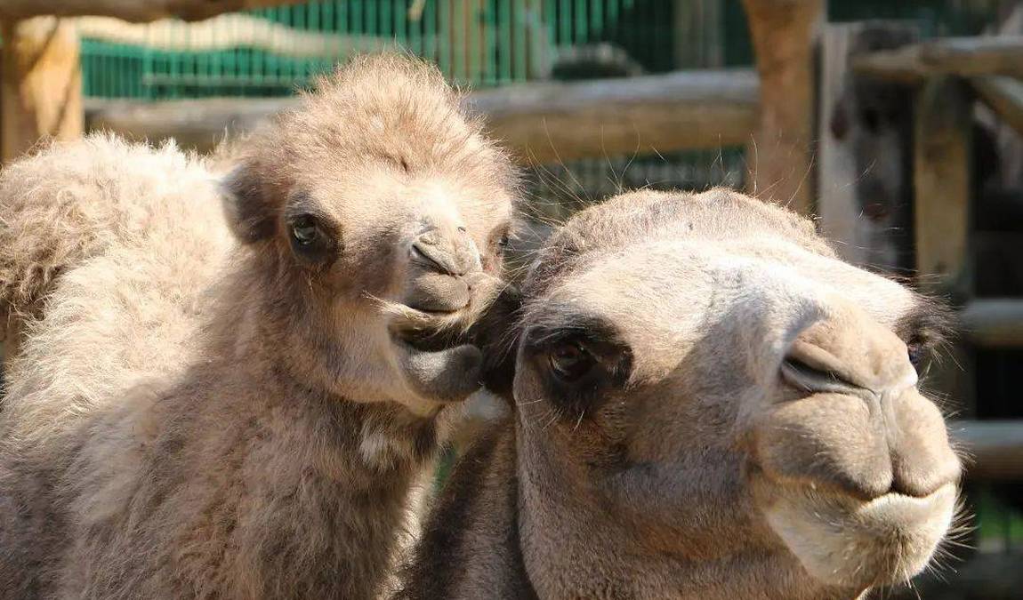 zoo eberswalde photo 5