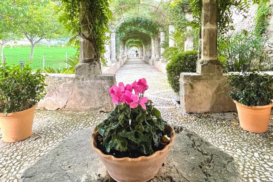 jardines de alfabia photo 2