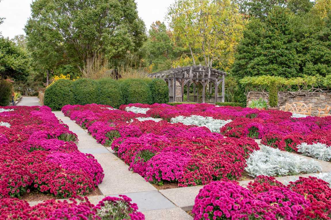 the north carolina arboretum photo 5