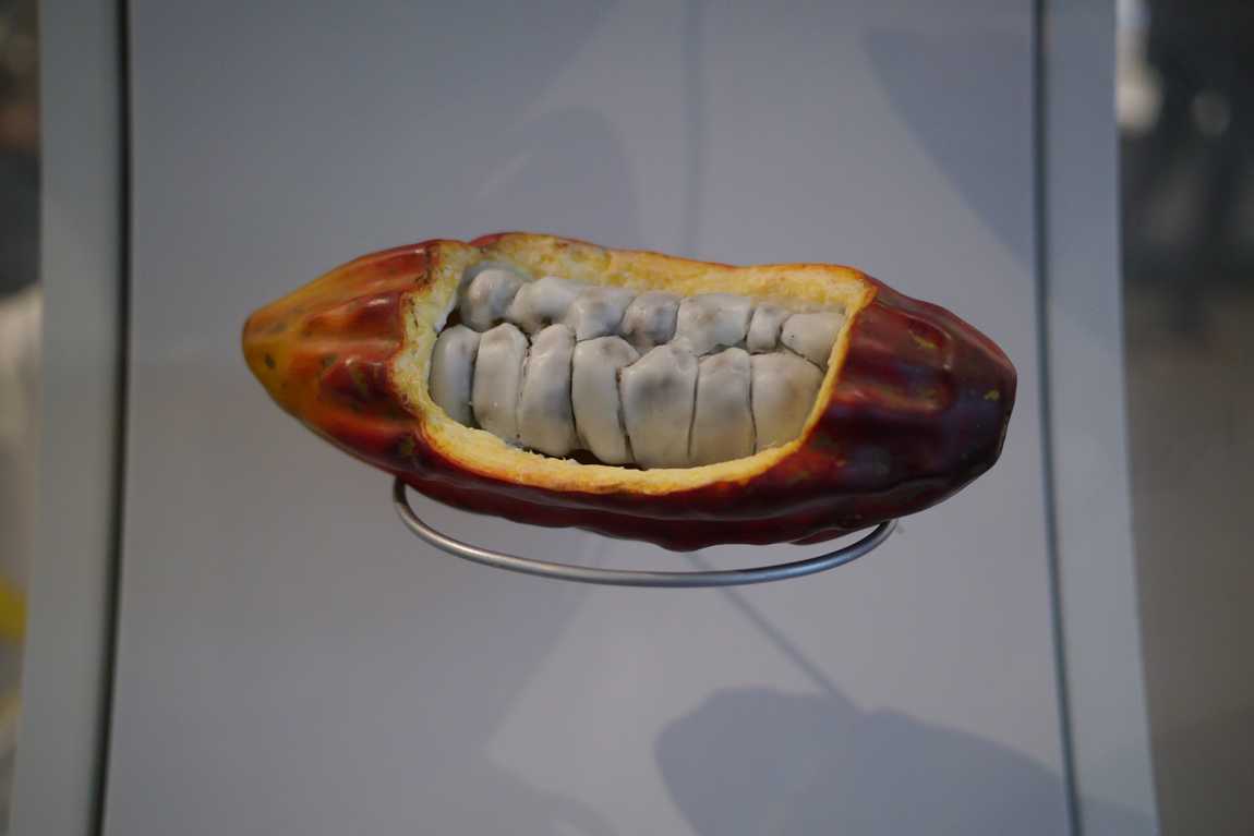 chocolate museum photo 1