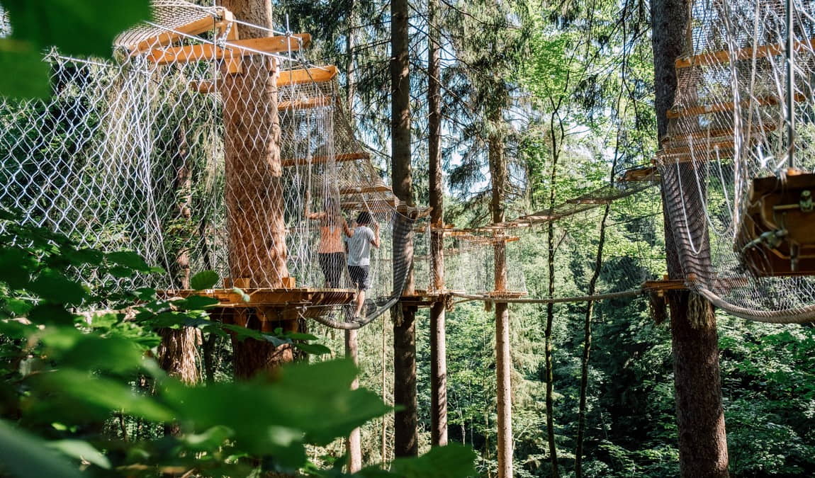 jodys baumparcours photo 3