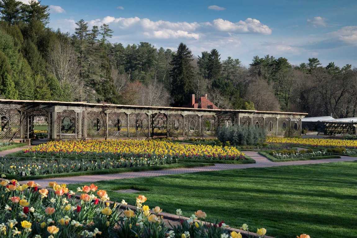 biltmore estate photo 7