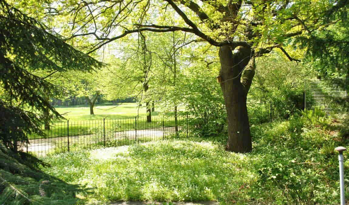 botanical garden photo 1