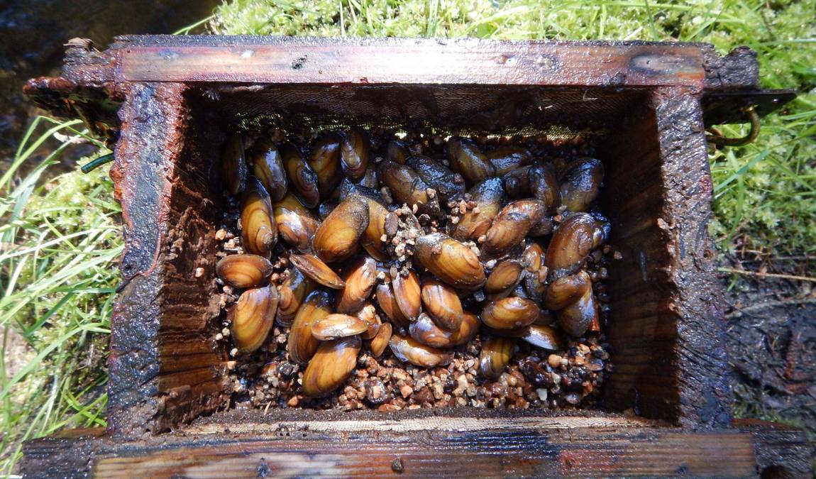 natural history museum of eastern bavaria photo 4