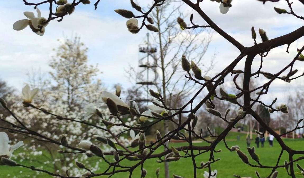 killesberg park photo 5