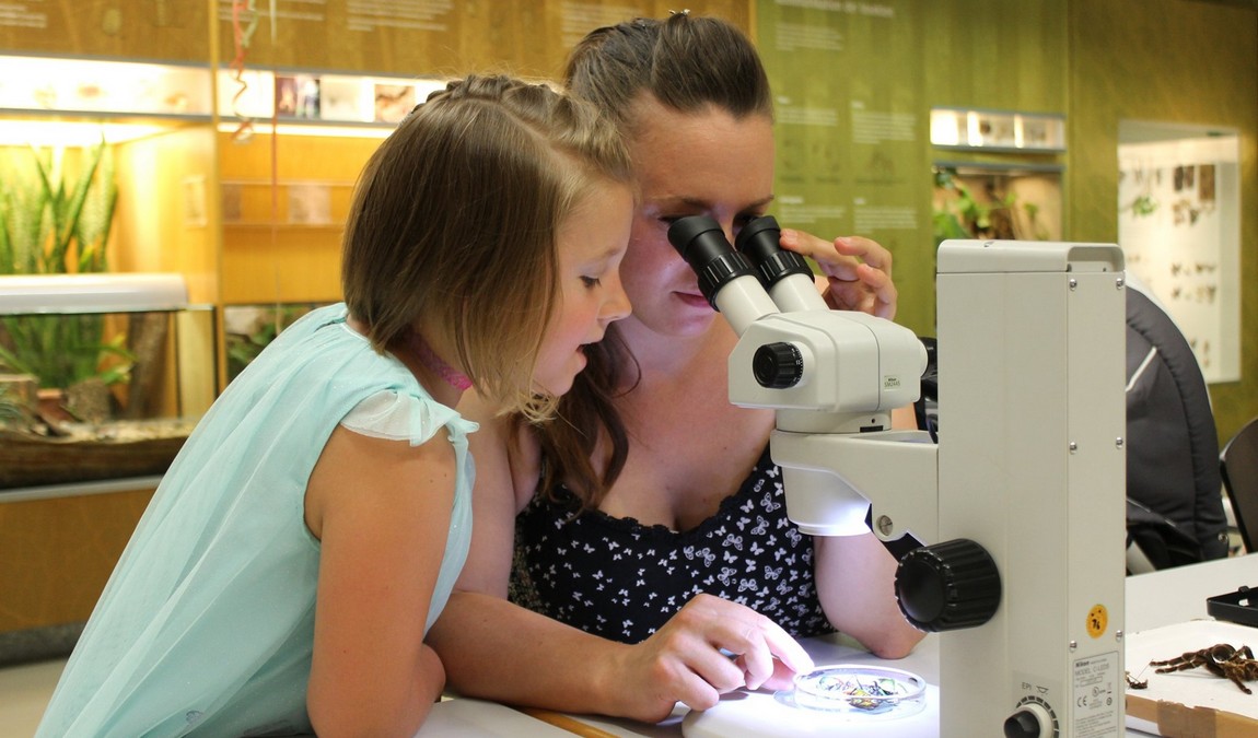 museum of natural history photo 3