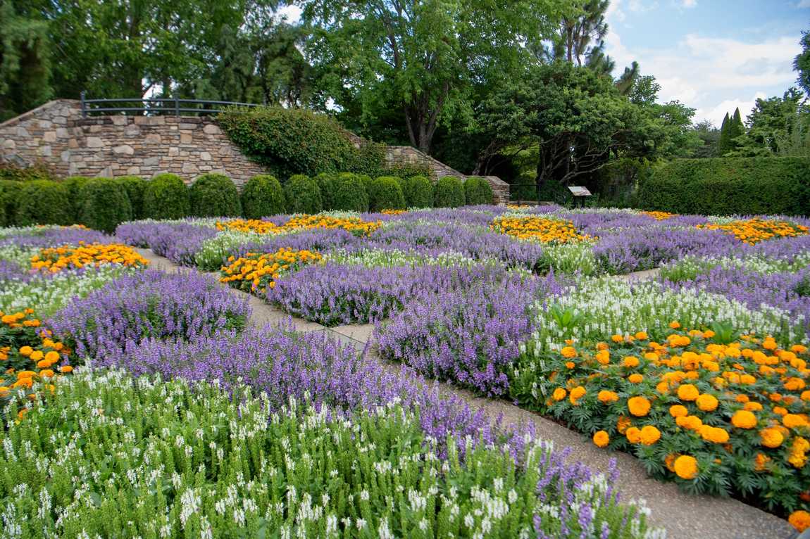 the north carolina arboretum photo 1