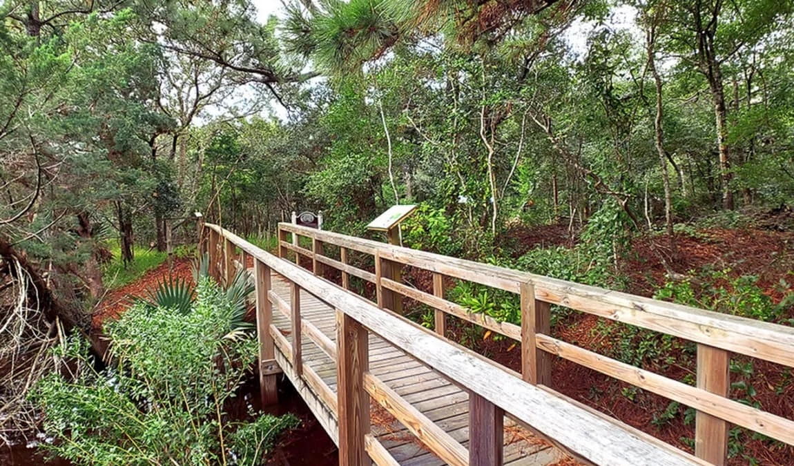 frisco native american museum and natural history center photo 5