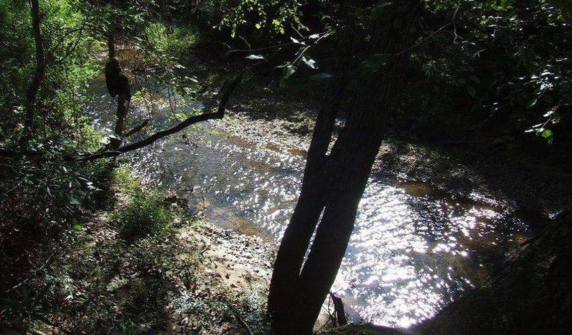 four mile creek greenway photo 3