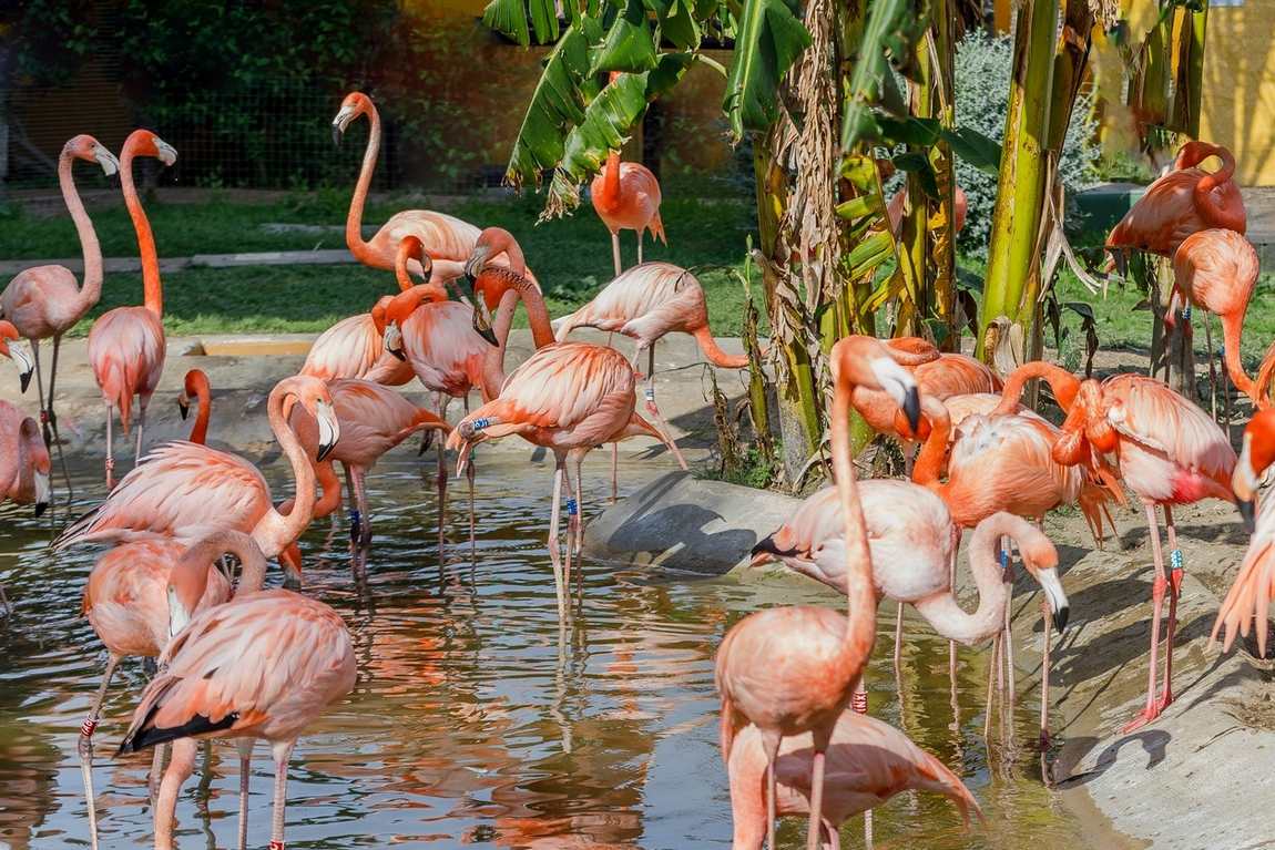 selwo marina delfinarium photo 2