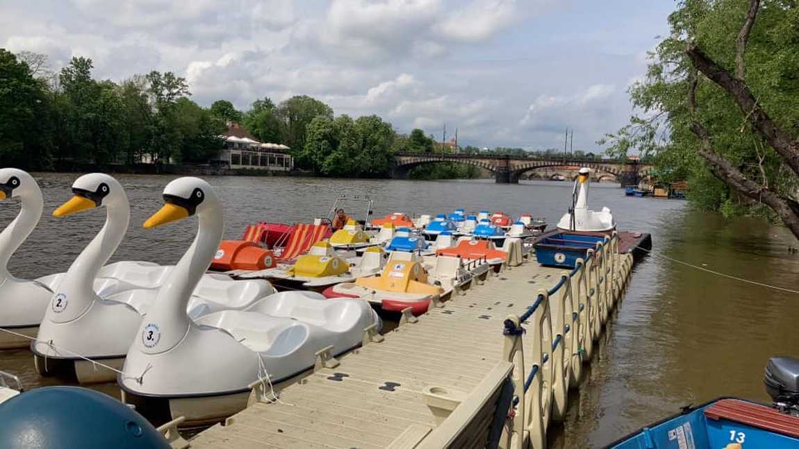 paddle boats photo 5