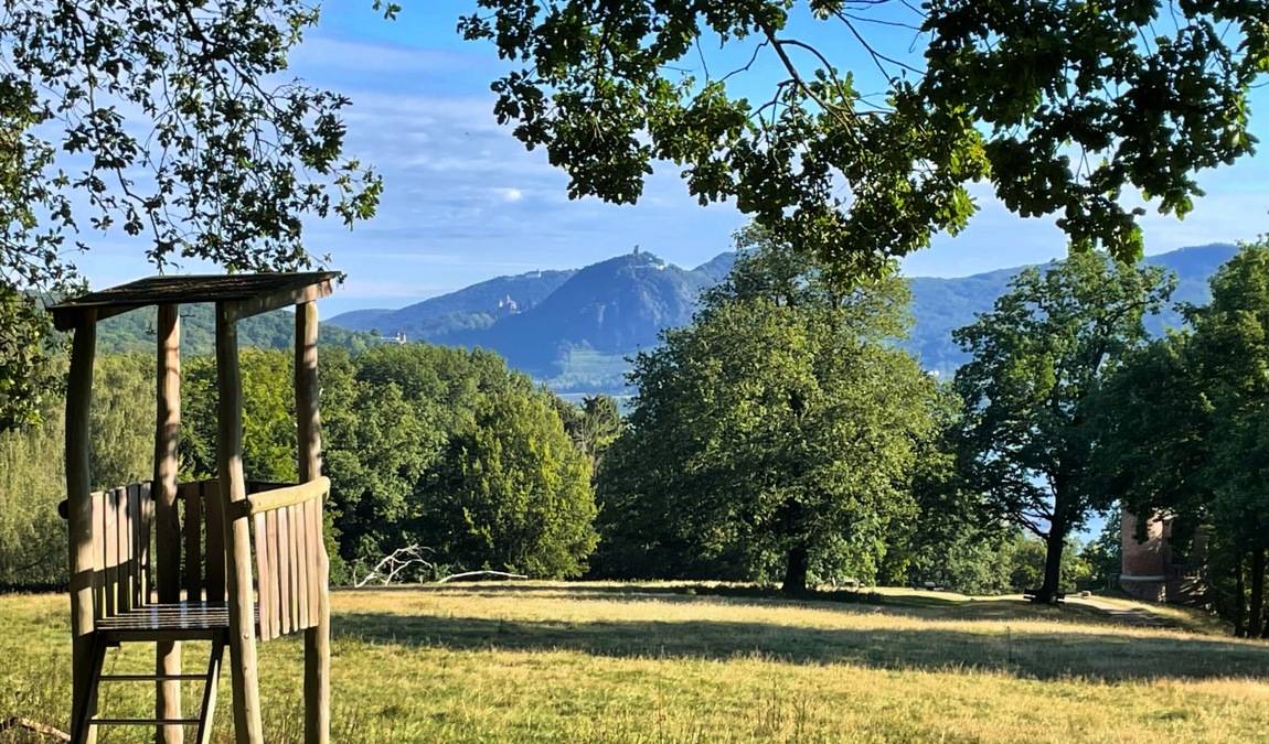 forest and wildpark rolandseck photo 1