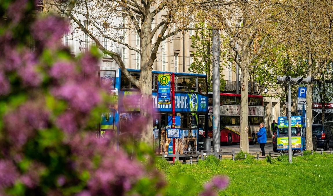 hop on hop off bus tours photo 7