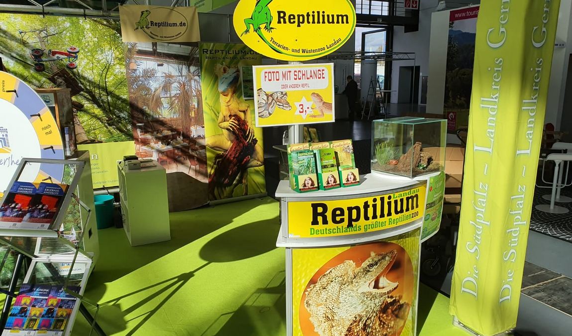 reptilium terrarium and desert zoo photo 9