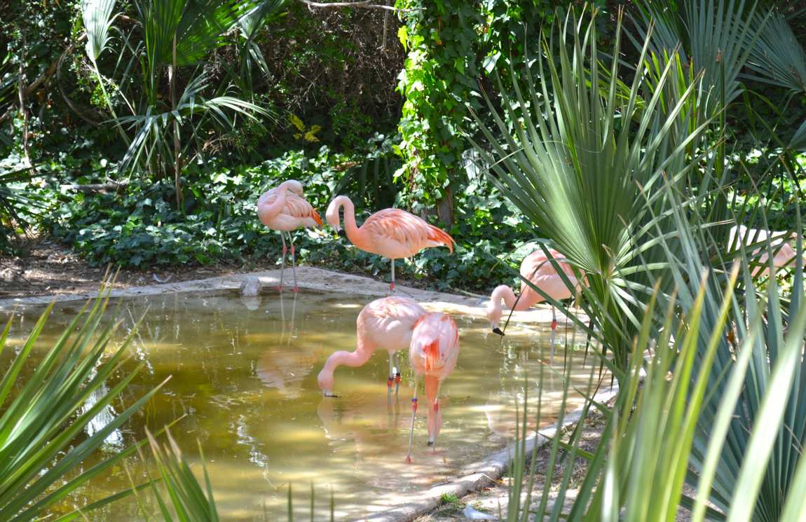terra natura benidorm photo 3