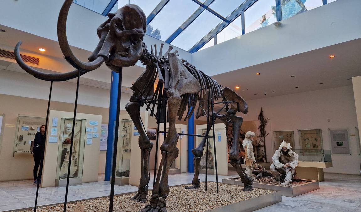 anthropos pavilion photo 2