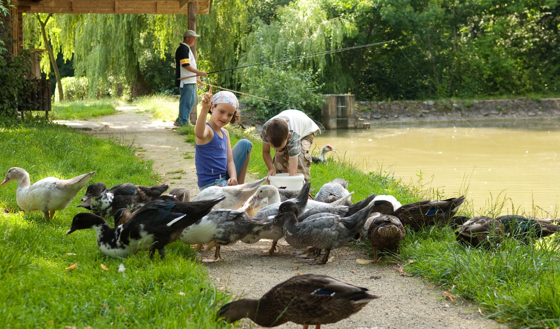 wildpark hochriess photo 3