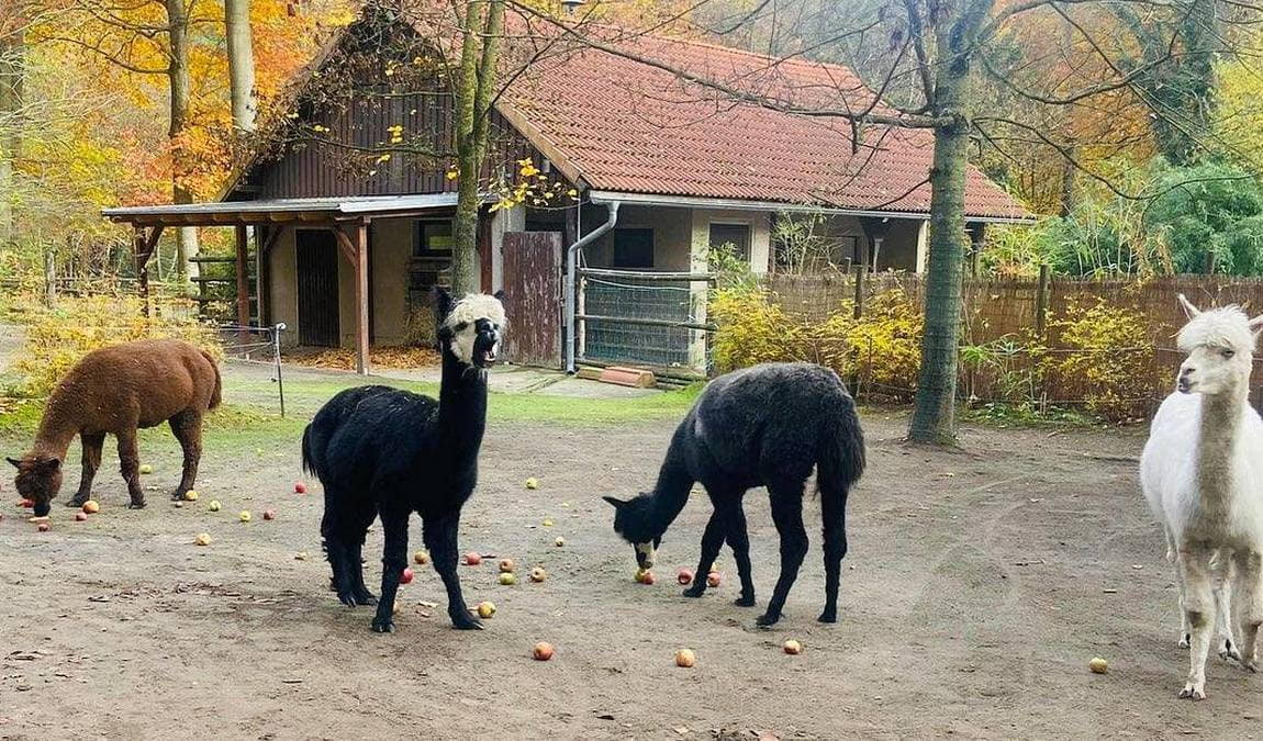 zoo eberswalde photo 2