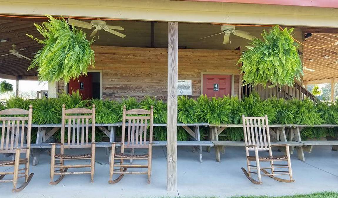 brock's berries & farm photo 8