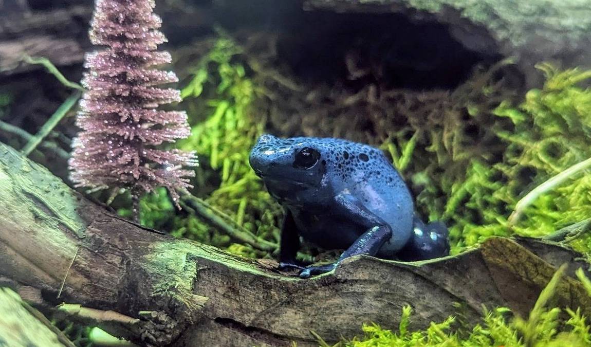 tiergarten worms photo 5