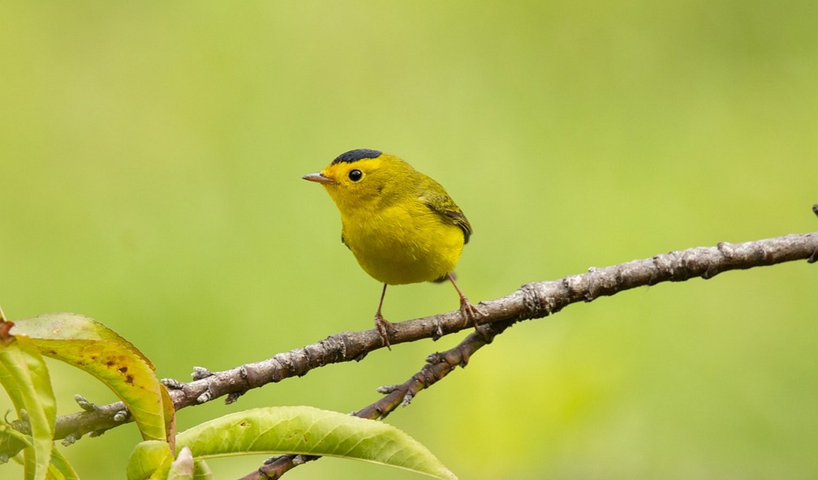 river park north photo 7