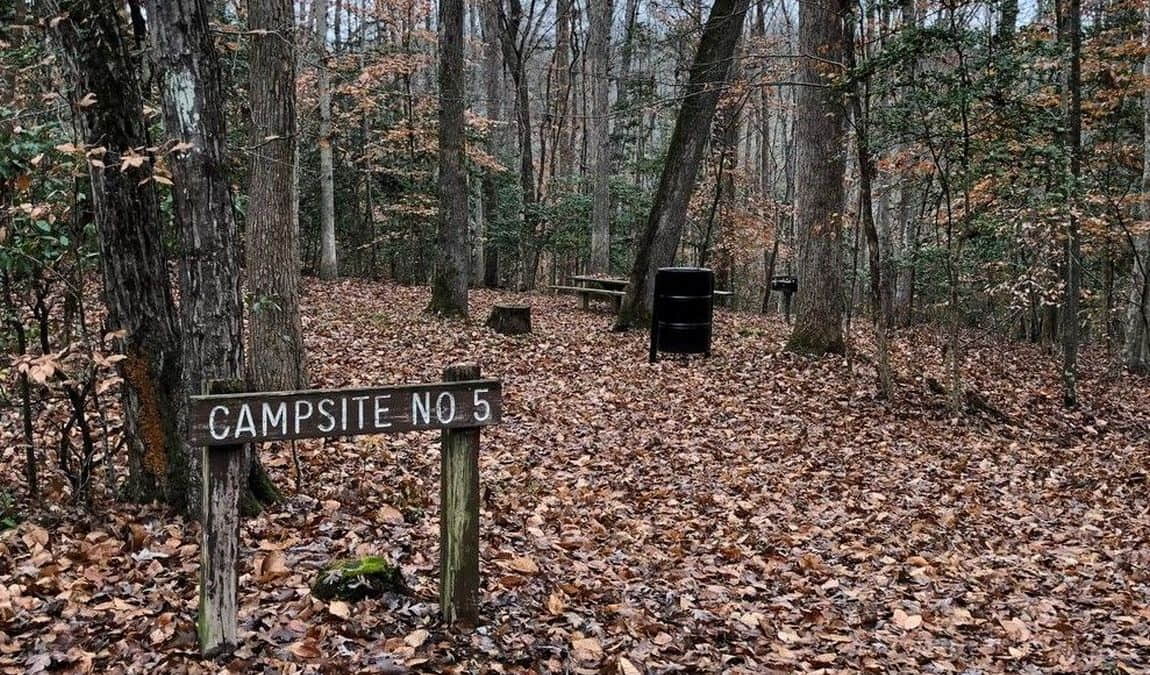 lake michie park and marina photo 4