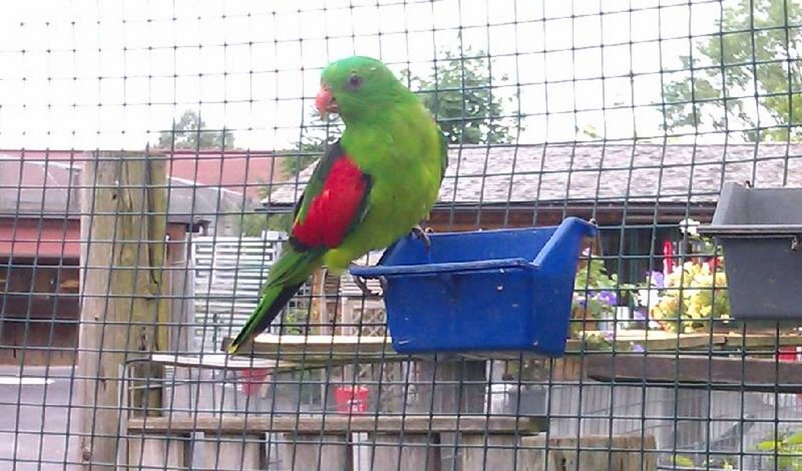 animal wild u. game park preding photo 6