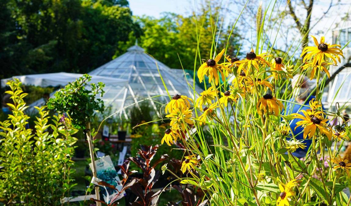 leipzig botanical garden photo 2