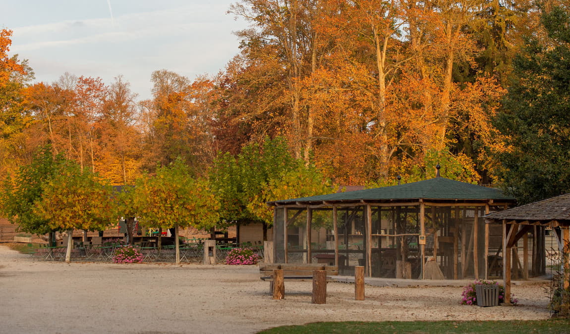 wild park castle tambach photo 1