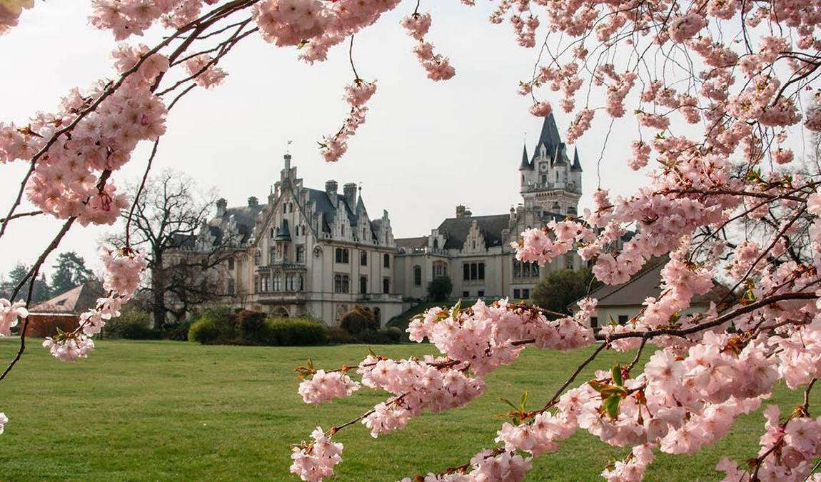 grafenegg castle photo 1