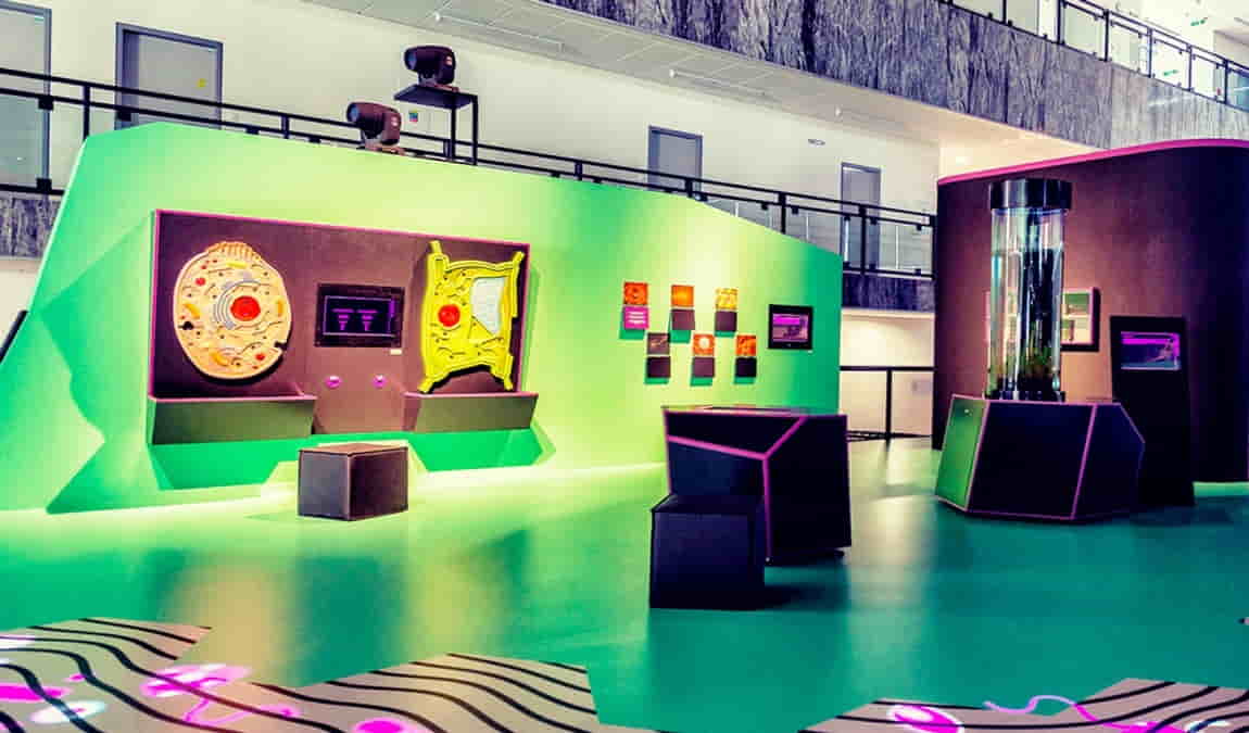 vida! science centrum photo 3